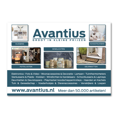 Flyer ontwerp Avantius webshop